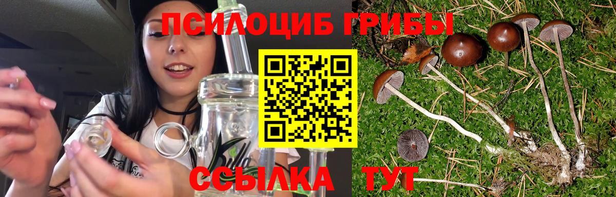 Галлюциногенные грибы Psilocybine cubensis  Вход с VPN  Псилоцибиновые грибы Cubensis  Ирбит 