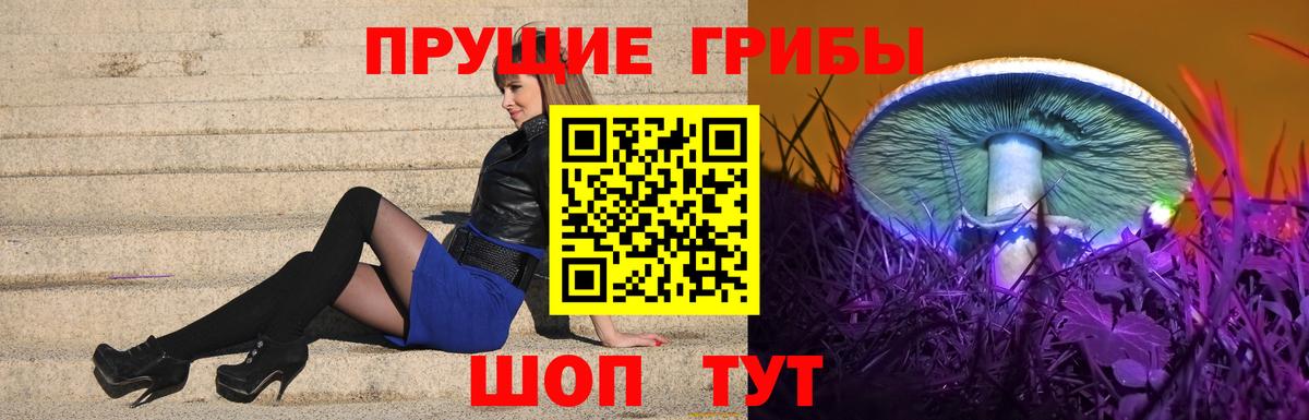 Псилоцибиновые грибы GOLDEN TEACHER  Псилоцибиновые грибы GOLDEN TEACHER  Ирбит 